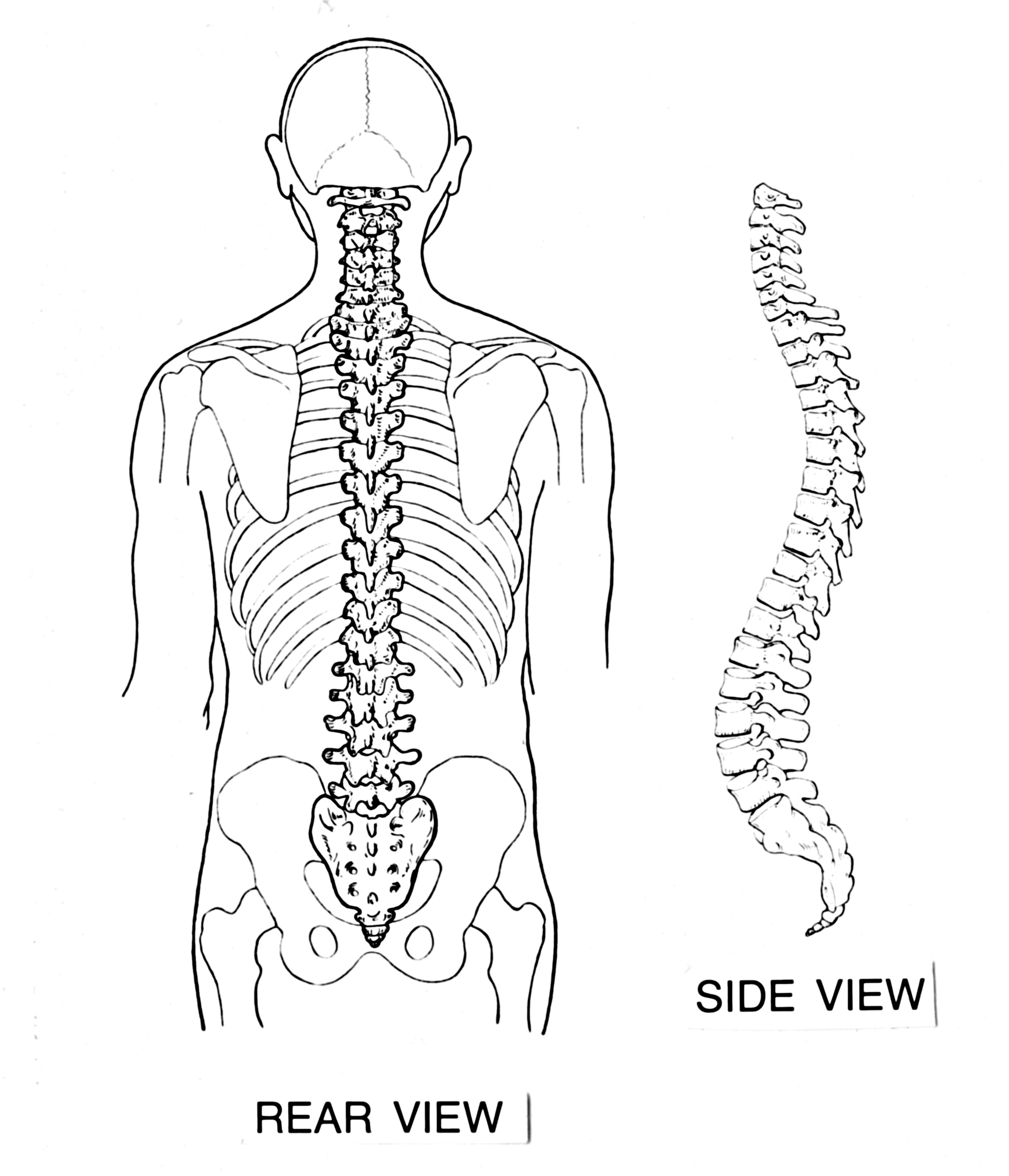 People With Spinal Cord Injuries